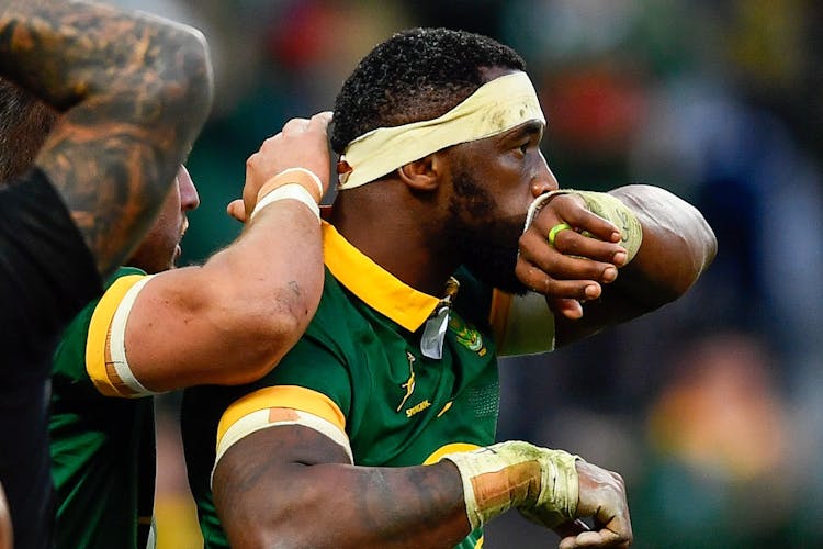 The Springboks celebrate a crucial win over the All Blacks. Photo: Getty Images