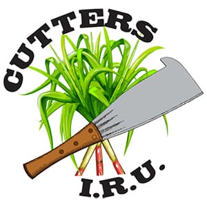 This is the club logo for Ingham Cutters Rugby Union