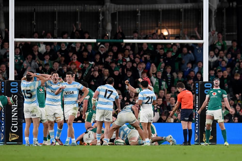 Ireland held on to take down Argentina in Dublin. Photo: Getty Images