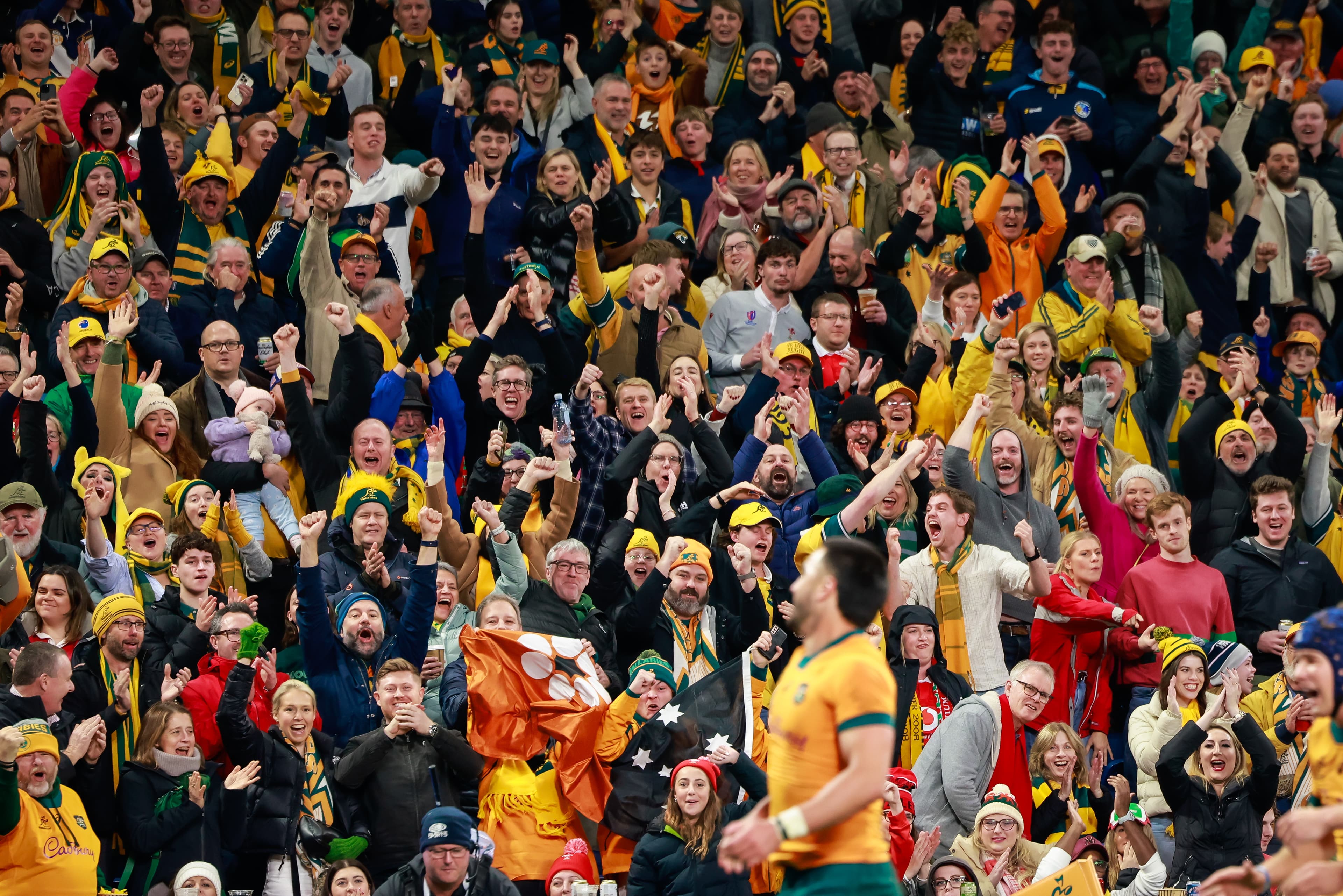 The Wallabies will play in Townsville, Sydney and Perth during next year's Rugby Championship. Photo: Getty Images