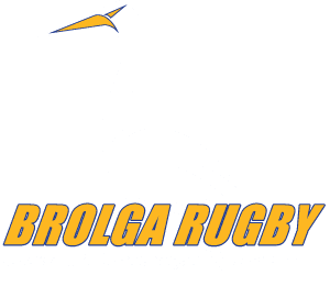 Townsville & District Rugby Union Logo - New Colours