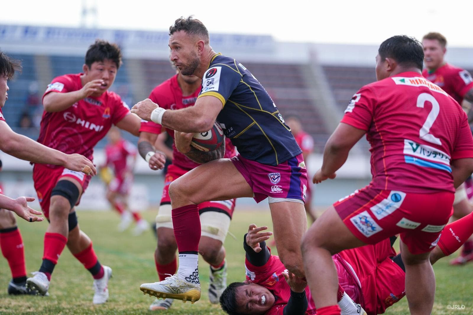 Quade Cooper crossed in the Liners draw with the Dolphins. 