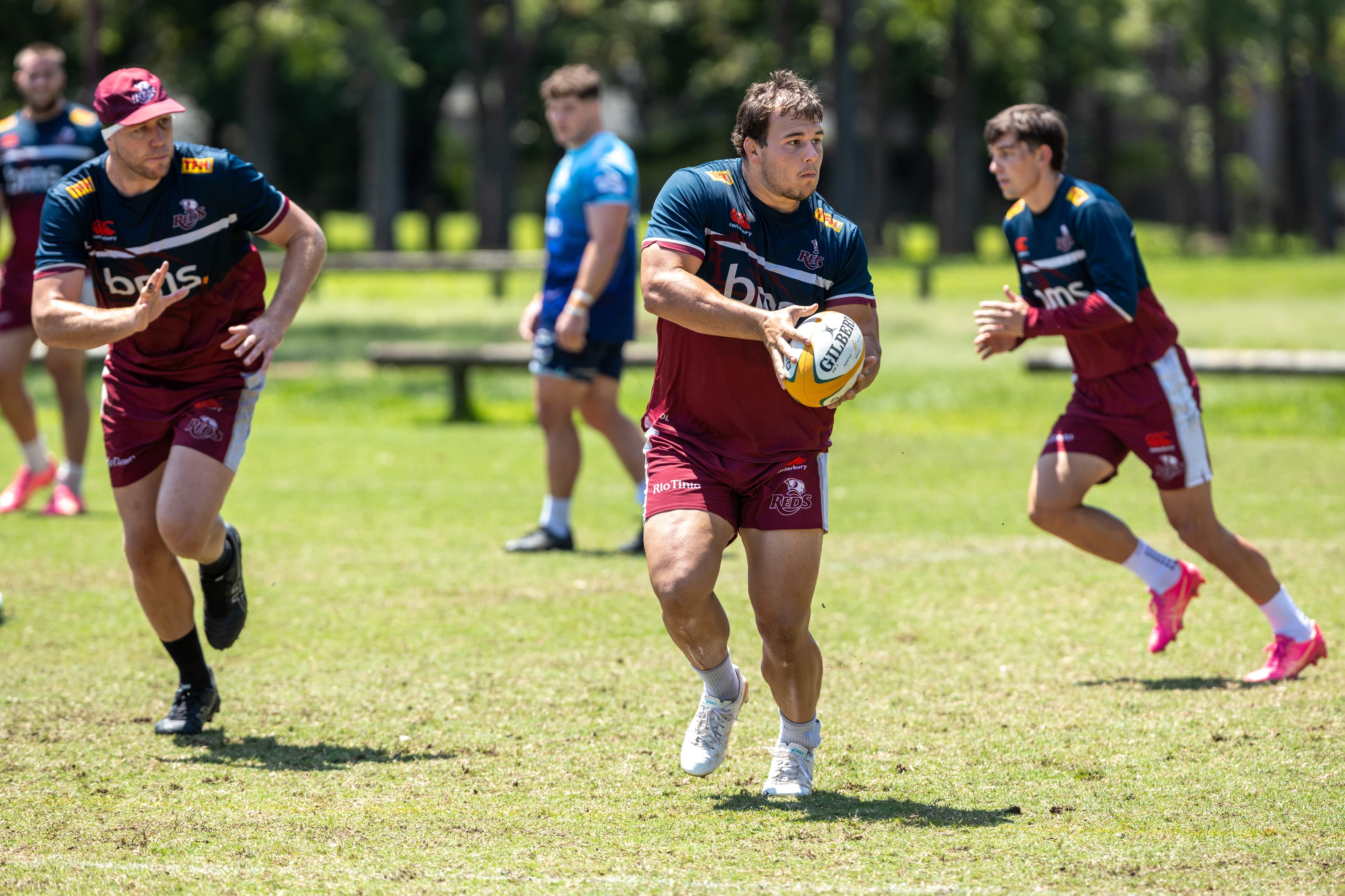 Massimo de Lutiis at Ballymore Wallabies Training Hub in October 2024. Picture: Reds Media Unit