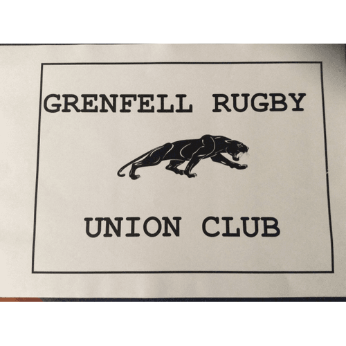 Grenfell Panthers Men's XV's South West Fuels Cup 2024 Opens