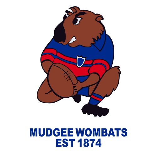 Mudgee Wombats Blowes Cup Colts 2024