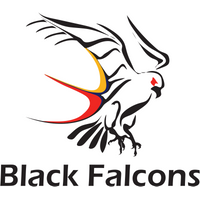 South Australia Black Falcons