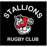 Stallions Rugby
